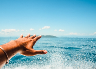 Titre de l'article 6