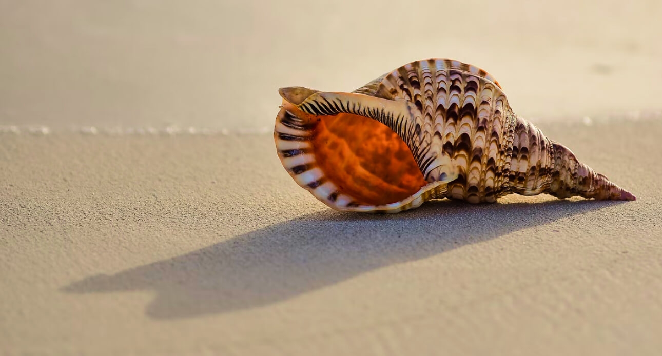 Inspiration : Notre guide complet sur le Maroc